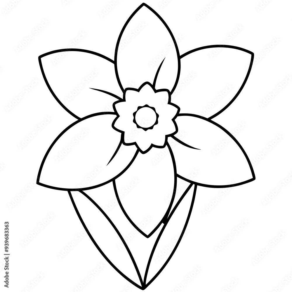 illustration of a flower illustration of a flower
