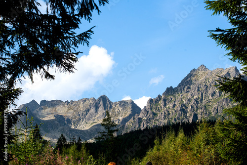 Tatra mountains at Slovakia in summer near the lake of Poprad beautiful landscape view in the forest photo