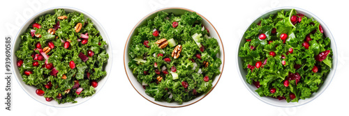 Set of kale and cranberry salad isolated on a transparent background