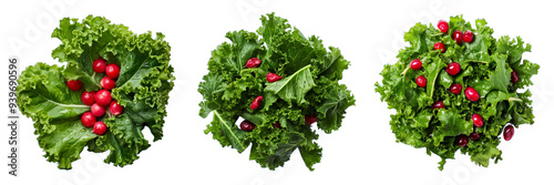 Set of kale and cranberry salad isolated on a transparent background