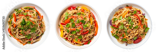 Set of Asian sesame noodle salad isolated on a transparent background