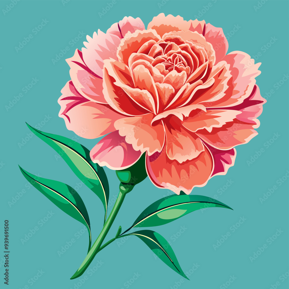 Carnation color vector
