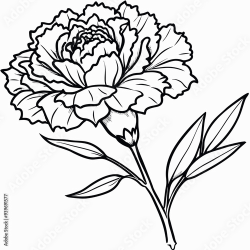 Obraz na płótnie Carnation outline vector w salonie