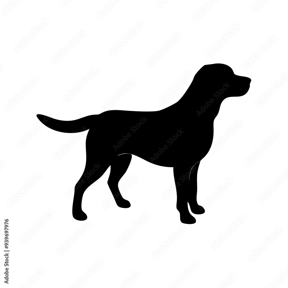 Dog Breeds, Dog Vector Graphic, Dog SVG - digital download svg, Dog Breeds, Dog Vector Graphic, Dog SVG - digital download svg,