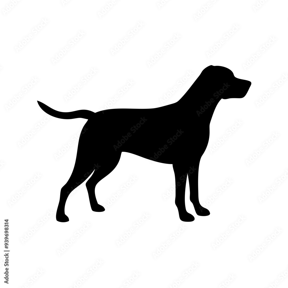 Dog Breeds, Dog Vector Graphic, Dog SVG - digital download svg, Dog Breeds, Dog Vector Graphic, Dog SVG - digital download svg,