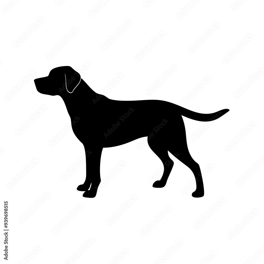 Fototapeta premium Dog Breeds, Dog Vector Graphic, Dog SVG - digital download svg,