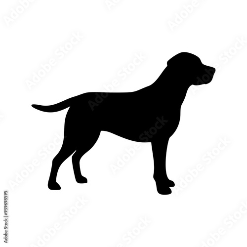 Dog Breeds, Dog Vector Graphic, Dog SVG - digital download svg,