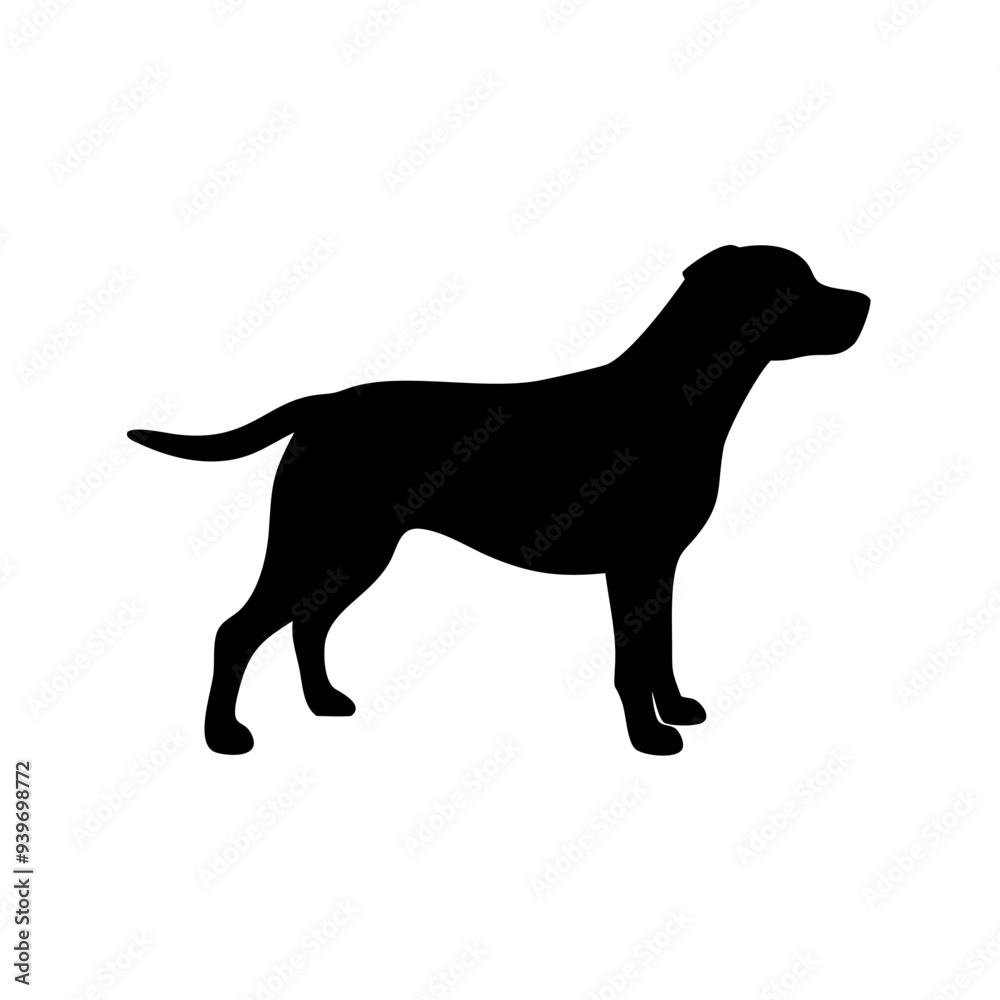 Dog Breeds, Dog Vector Graphic, Dog SVG - digital download svg, Dog Breeds, Dog Vector Graphic, Dog SVG - digital download svg,