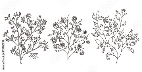 Wallpaper Mural Set plant branches. Vector hand drawn doodle collection illustration isolated on white background. Torontodigital.ca