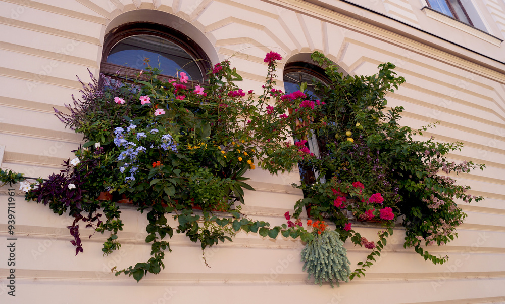 Naklejka premium colourful window with flowers .Nature ,beauty. High quality photo
