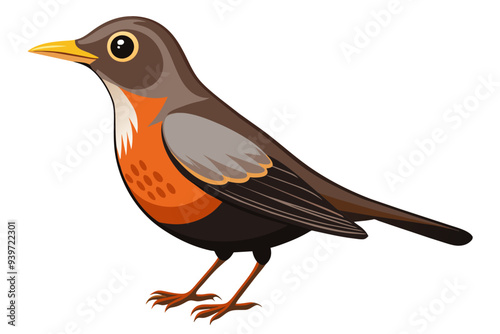 Beautiful bird thrush vector art illustration 