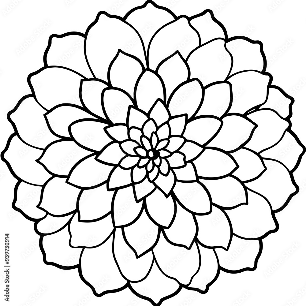 black and white flower black and white flower