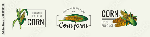 Corn logo. Farm field icon. Vintage grain seed for popcorn. Natural organic silhouette on fresh banner. Agriculture harvest. Maize ear. Cereal nutrition. Fresh product symbols vector set