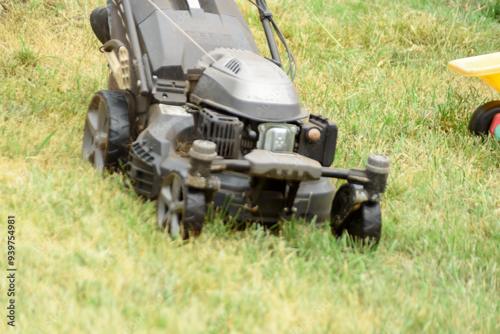 Obraz premium man cutting the grass with black lawnmower