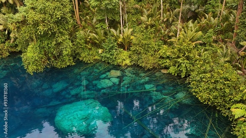 Beautiful tropical lake with crystal clear water and palm trees, Danau Paisu Pok in Luk Panenteng, Indonesia; Danau Paisu Pok Luk Panenteng, Banggai, Sulawesi Tengah, Indonesia photo