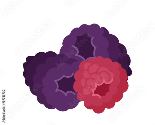 Cartoon black and red raspberries heap natural summer garden food isolated on white background