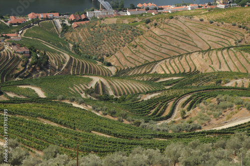 Douro Valley