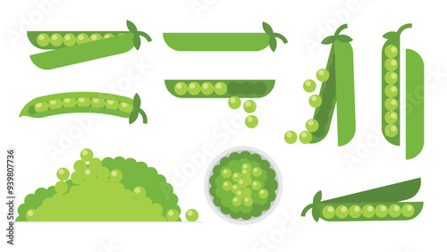 Set of green peas, Farm fresh peas product emblem for grocery shop, Slides, long and cross sections, and different positions, simple flat vector illustration of vegetables and fruits.