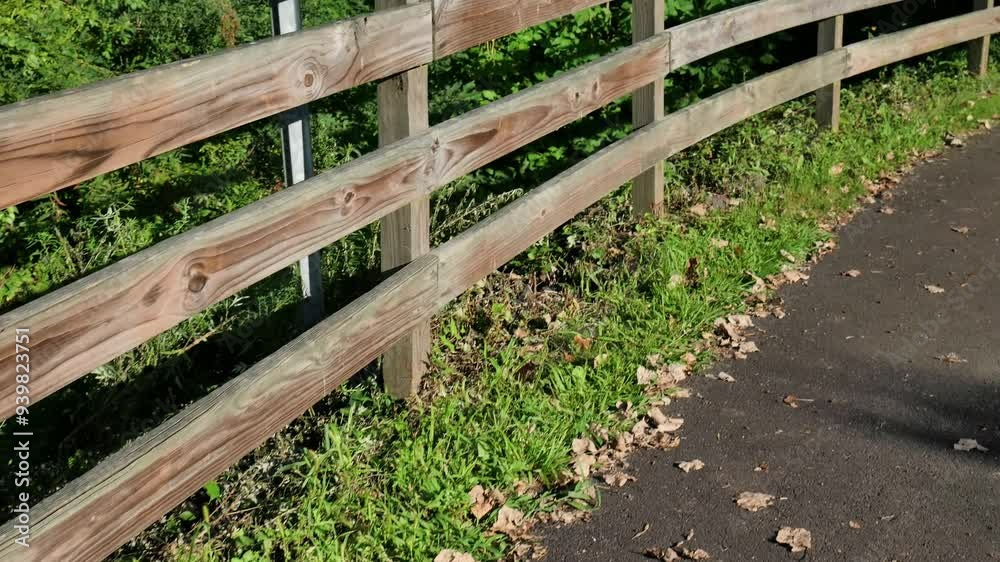 Trail and fence Trail and fence