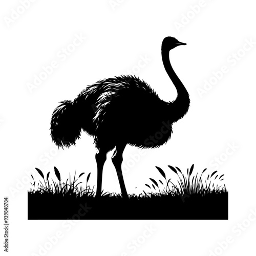 Ostrich silhouette, vector black color silhouette solid white background 