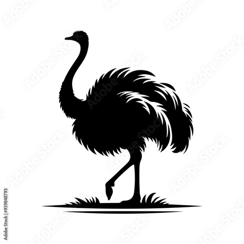 Ostrich silhouette, vector black color silhouette solid white background  photo