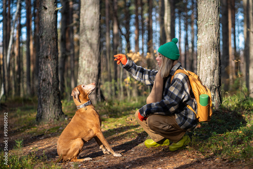 Interested dog looks up at woman owner while training in eco park on sunny fall day waiting for treat for accomplishment. Pleased female shows tasty snack to obediently sitting dog on stroll in forest