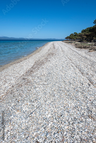 Kassandra coastline near Lagoon Beach, Chalkidiki, Greece photo