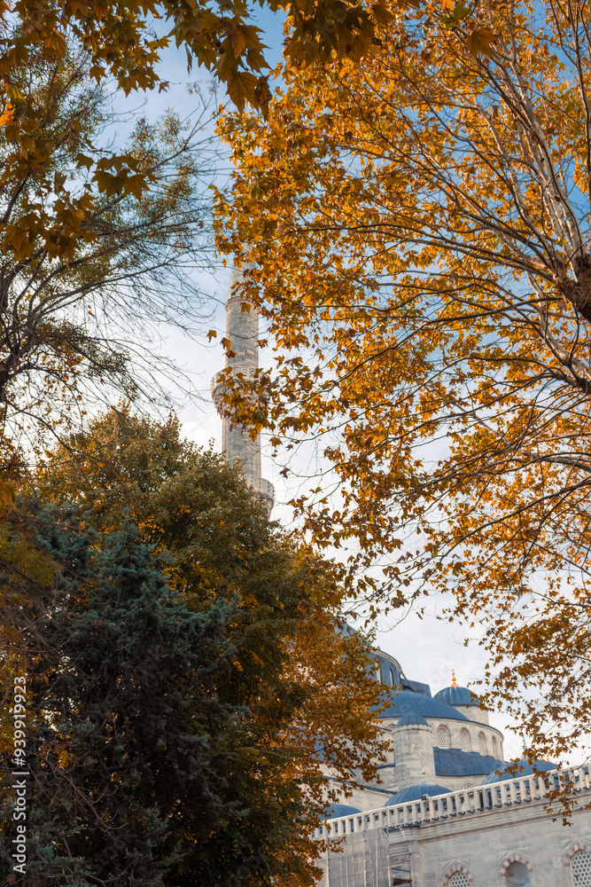 Autumnal view of the Blue Mosque, Istanbul, Turkey Autumnal view of the Blue Mosque, Istanbul, Turkey