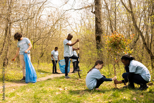 Fotografie Diverse people working on reforestation and litter cleanup in the forest, fighting to restore natural environment