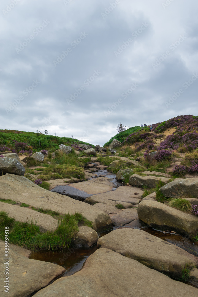 Obraz premium Ilkley Moor