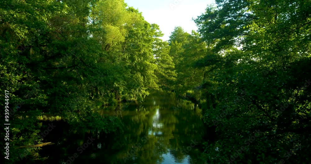 River and riverbank, calm flowing water, green trees and foliage, spring, birdsong, relaxing in nature, Spree, biosphere reserve, Spreewald, Germany, Europe River and riverbank, calm flowing water, green trees and foliage, spring, birdsong, relaxing in nature, Spree, biosphere reserve, Spreewald, Germany, Europe
