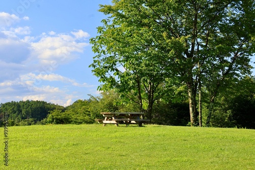 Bench in the park - Matsumoto, Japan photo