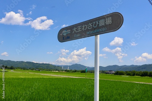 Daio Wasabinojo - Daio Wasabi Farm - Matsumoto, Japan