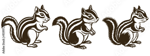 Adorable Chipmunk Silhouette Vector Clipart, Squirrel Icon, Rodent Illustration, Woodland Animal Graphic, Nature Wildlife, Black and White Animal Design, Forest Critter, Nature Art, Wildlife Vector