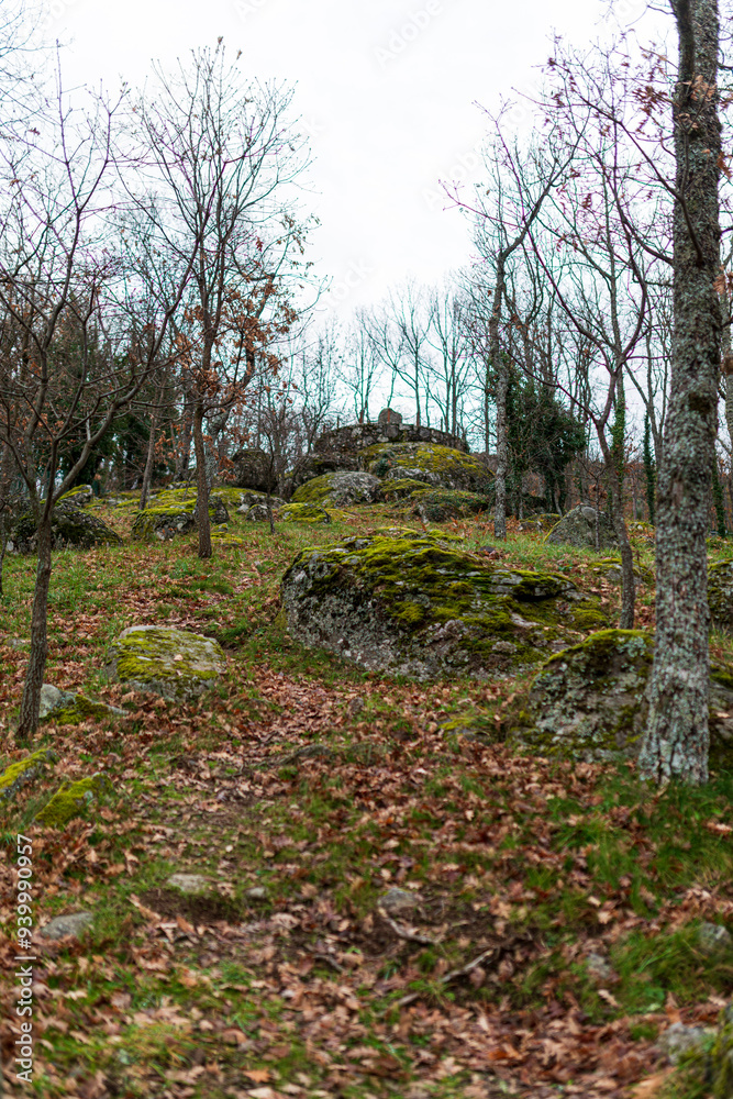 lago de sanabría detalles 2024 otoño lago de sanabría detalles 2024 otoño