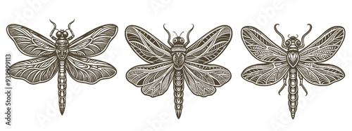 Capture the Grace of Nature with This Dragonfly Silhouette Vector Clipart, Showcasing a Beautifully Detailed Insect Illustration Ideal for Wildlife Graphics, Elegant Art Designs