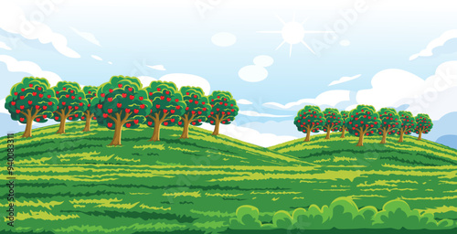 apple orchard view on the hill