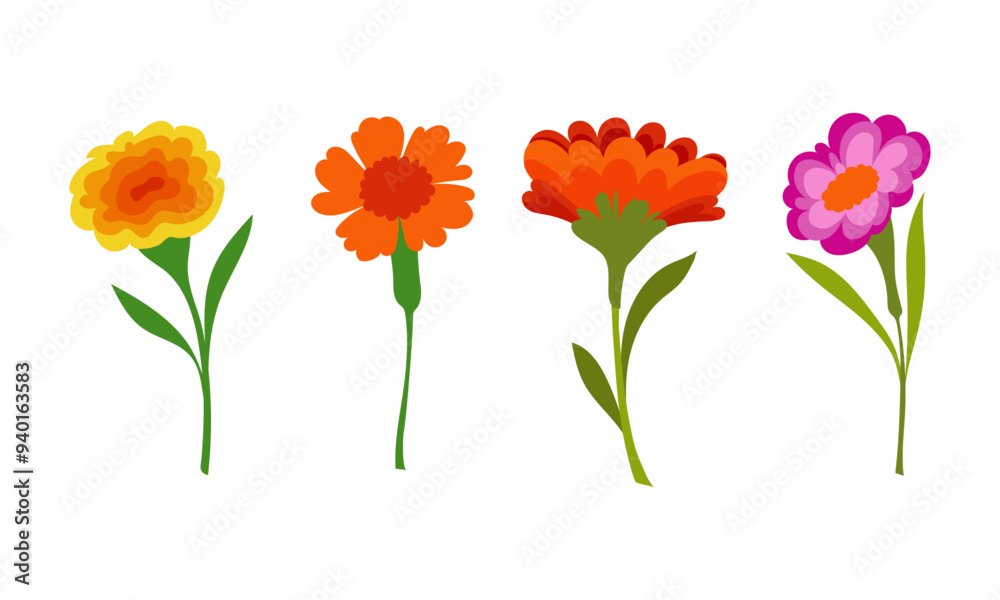 Fototapeta premium Hand drawn Beautiful spring flower illustration set