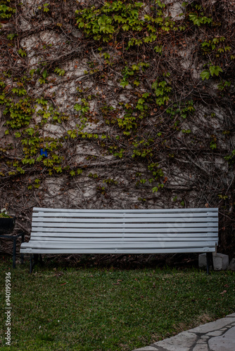 Fotografía del patio trasero de una casa, con jardín y diversos elementos conformando el paisaje.