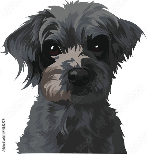 black and white dog portrait