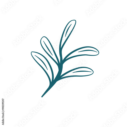 hand drawn leaf vector. leaf illustration. leaves illustration. aesthetic leaf illustration. simple leaf flat illustration.