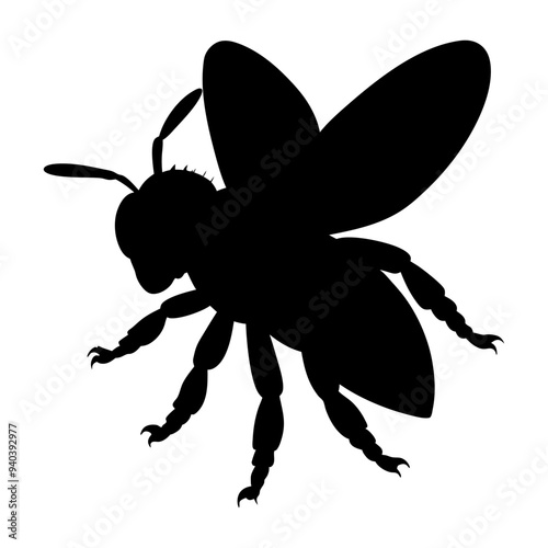 Vector Honey Bee