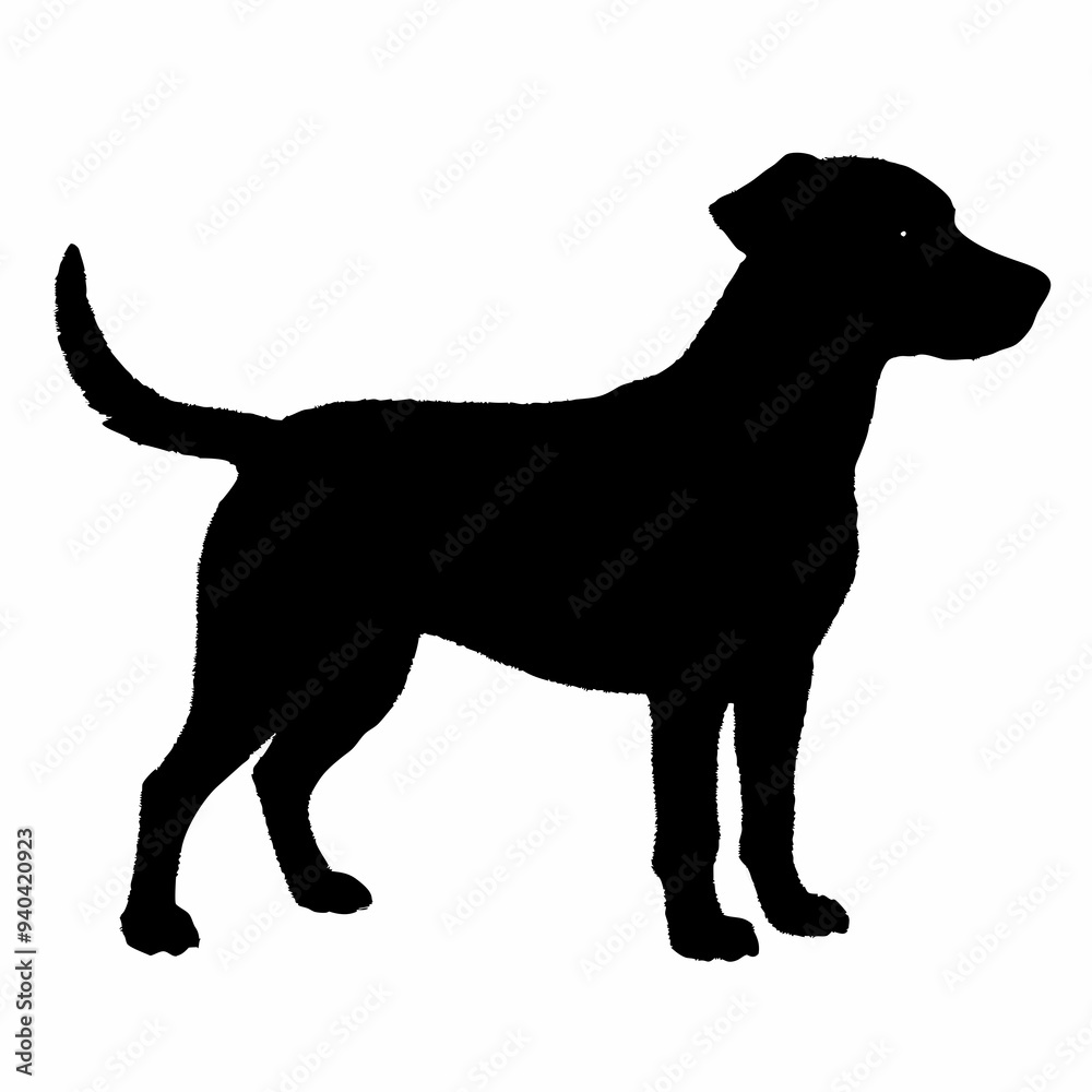 Dog Silhouette svg, Digital Download, Dog Silhouette svg bundle,Dog Silhouette png,Dog Breed Silhouettes, Dog Breed SVG Dog Silhouette svg, Digital Download, Dog Silhouette svg bundle,Dog Silhouette png,Dog Breed Silhouettes, Dog Breed SVG