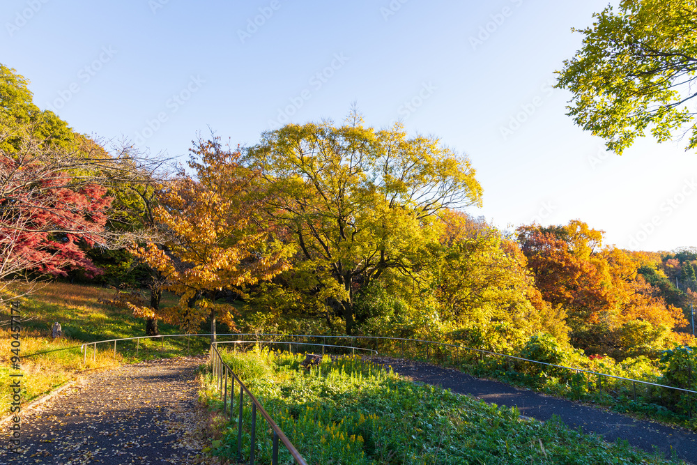 Fototapeta premium 日本の風景・秋 埼玉県 紅葉の狭山湖・狭山自然公園