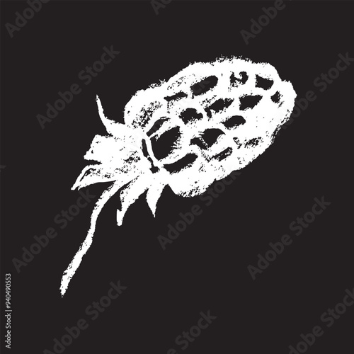 White chalk drawing of Raspberry on black background. Raspberries sign illustration in vector with natural chalk texture. Monochrome Blackberry icon, berry sketch, and Mulberry doodle design.