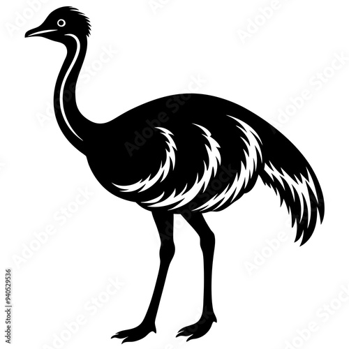 Emu art Vector Illustration Design