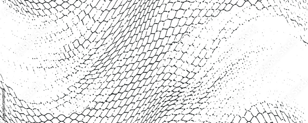 Black snake skin pattern isolated on white background eps 10