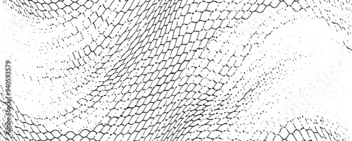 Black snake skin pattern isolated on white background eps 10