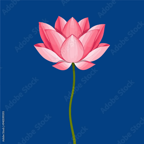 Pink Lotus Flower