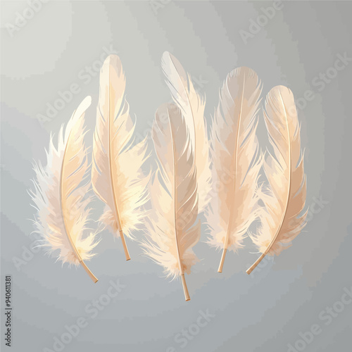 White Feather Collection